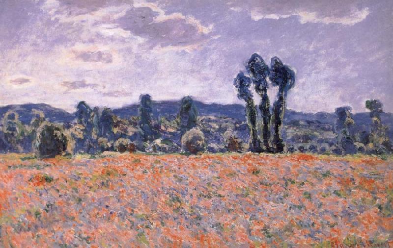 Claude Monet Poppy Field in Bloom Sweden oil painting art